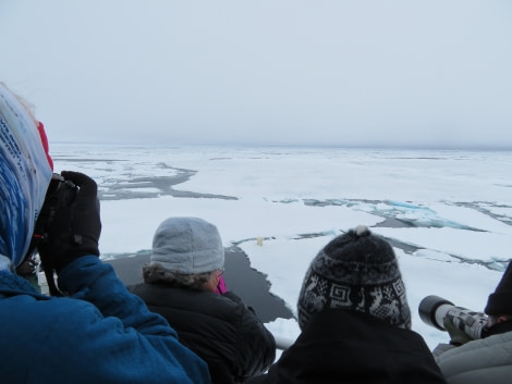 HDS06-19, DAY 06, MiriamVermeij-0307-Bear on ice - Oceanwide Expeditions.jpg