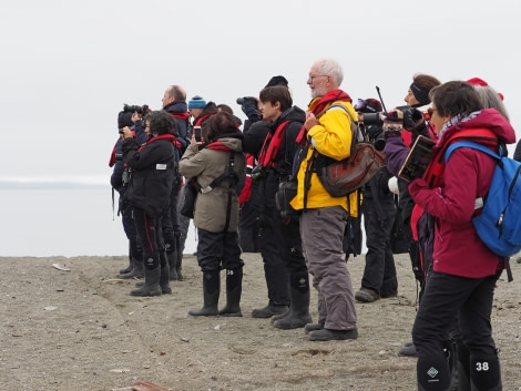 HDS09-19 DAY 09 MScott - Walrus watchers - Oceanwide Expeditions.jpg