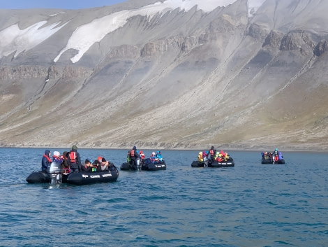 HDS09-19 DAY 07 MScott - Walrus cruising - Oceanwide Expeditions.jpg