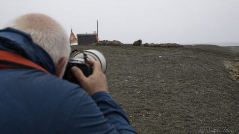 HDS08-19 DAY 09_Walrus -Oceanwide Expeditions.jpg