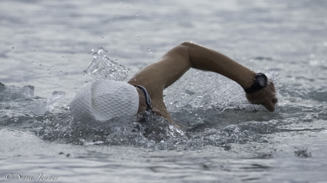 HDS08-19 DAY 03_Polar Plunge 2 -Oceanwide Expeditions.jpg