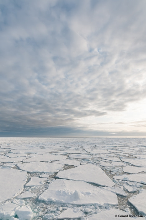 PLA15-19 DAY 04, 2019-08-29_IceAndSky_GerardBodineau- Oceanwide Expeditions.jpg