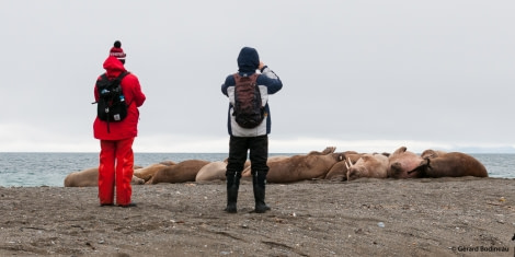 PLA15-19 DAY 07, 2019-09-01_WatchingWalrus_GerardBodineau- Oceanwide Expeditions.jpg