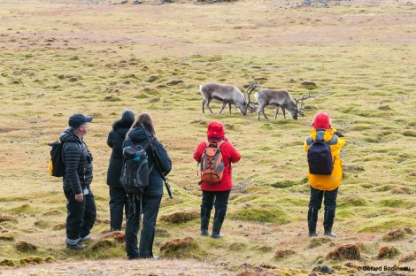 PLA14-19 DAY 09 2019-08-25WatchingReindeers_GerardBodineau -Oceanwide Expeditions.jpg