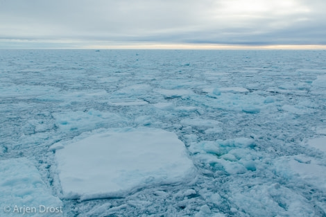 PLA15-19 DAY 04, 20190829_Arjen_Drost_0004- Oceanwide Expeditions.jpg