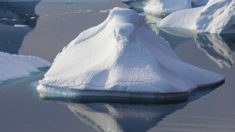 HDS15-19 Day 04 greenland_pics_erubio (2) -Oceanwide Expeditions.jpg