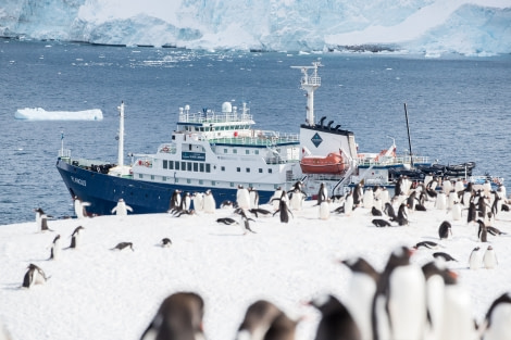 PLA22-19 Day 05, DanielHoehne (11)_ Oceanwide Expeditions.jpg