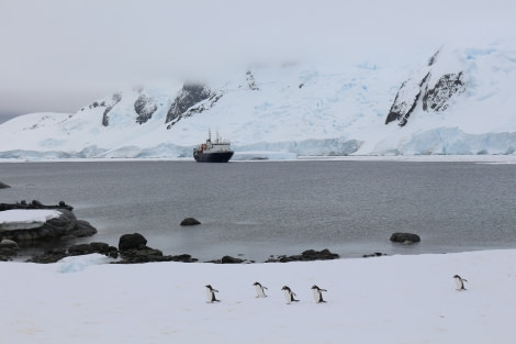 OTL21-19 Koen Jongerling Pleneau Island IMG_5223 - Oceanwide Expeditions.JPG