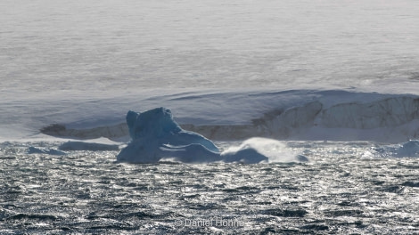 PLA23-19 Day 4 Daniel-Hoehne (2) - Oceanwide Expeditions.jpg