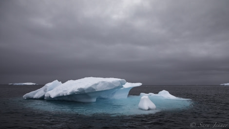 PLA23-19 Day 5 Portal Point 2 - Oceanwide Expeditions.jpg