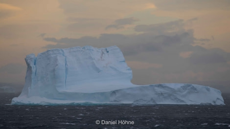 PLA23-19 Day 4 Daniel-Hoehne (16) - Oceanwide Expeditions.jpg