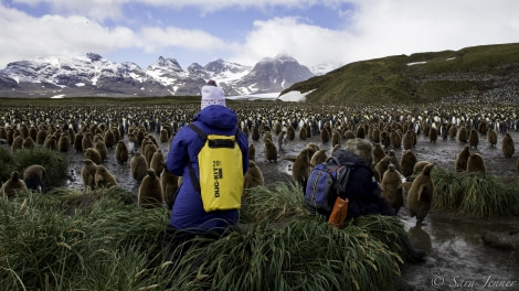 PLA24-19 Day 7 Sailsbury Plain 17 - Oceanwide Expeditions.jpg