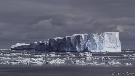 PLA24-19 Day 12 Ice - Oceanwide Expeditions.jpg