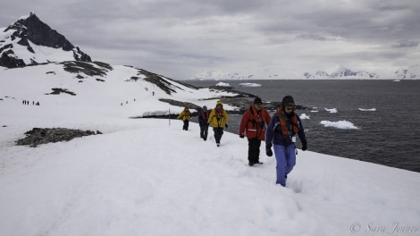 HDS25-19 DAY 05, Orne islands 10 -Oceanwide Expeditions.jpg