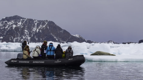 PLA24-19 Day 12 Zodiac cruise - Oceanwide Expeditions.jpg