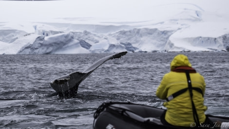 HDS25-19 DAY 07, Portal point 7 -Oceanwide Expeditions.jpg