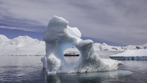 PLA23-19 Day 7 Iceberg - Oceanwide Expeditions.jpg