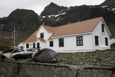 PLA24-19 Day 9 Gryviken 1 - Oceanwide Expeditions.jpg