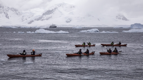 PLA23-19 Day 6 Kayakers - Oceanwide Expeditions.jpg