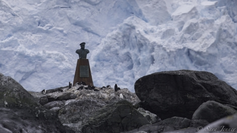 Point Wild, Elephant Island © Sara Jenner - Oceanwide Expeditions.jpg