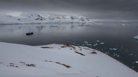 PLA23-19 Day 7 Daniel-Hoehne (10) - Oceanwide Expeditions.jpg