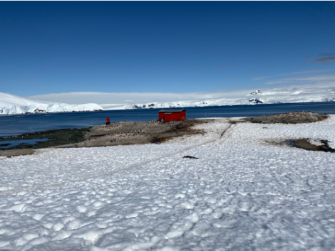 Mikkelsen Harbour © Unknown Photographer - Oceanwide Expeditions.jpg