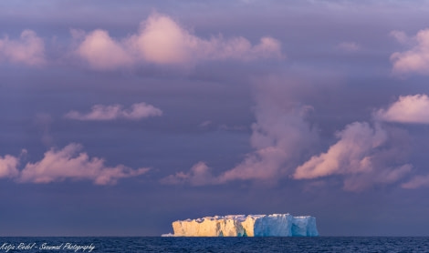 PLA24-19 Day 11 20191210_Katja Riedel_DSC_3397 - Oceanwide Expeditions.jpg