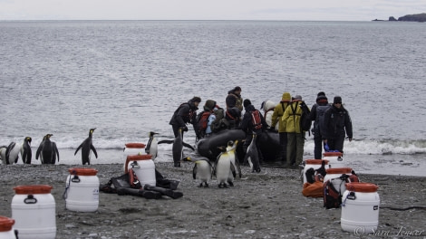 PLA24-19 Day 7 Sailsbury plain - Oceanwide Expeditions.jpg