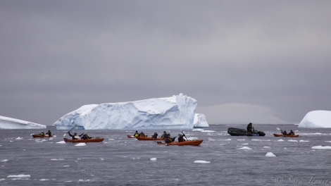 PLA23-19 Day 5 Kayakers - Oceanwide Expeditions.jpg