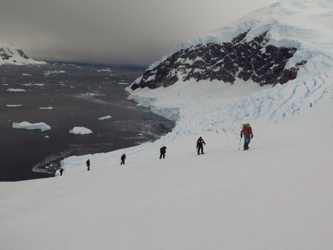 PLA25-19, 04 - Neko Harbour - Mal Haskins- Oceanwide Expeditions.JPG