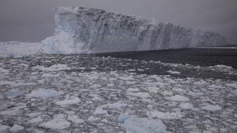 PLA24-19 Day 15 Weddell Sea - Oceanwide Expeditions.jpg