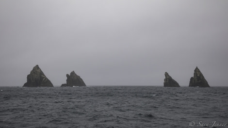 PLA24-19 Day 6 Shag rocks - Oceanwide Expeditions.jpg