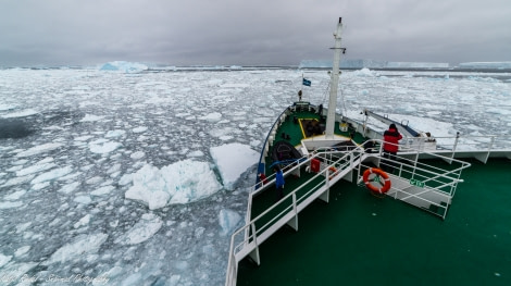 PLA24-19 Day 15 20191214_Katja Riedel_DSC_4132 - Oceanwide Expeditions.jpg