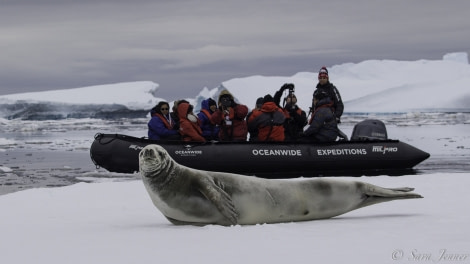 HDS25-19 DAY 06, Crabeater 2 -Oceanwide Expeditions.jpg