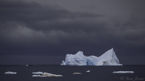 PLA23-19 Day 8 Ice - Oceanwide Expeditions.jpg