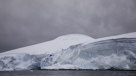 PLA23-19 Day 5 Zodiac cruise 6 - Oceanwide Expeditions.jpg