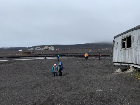 PLA26-20, 06 JANUARY, WHALERS BAY, IMG_6562 -Oceanwide Expeditions.JPG