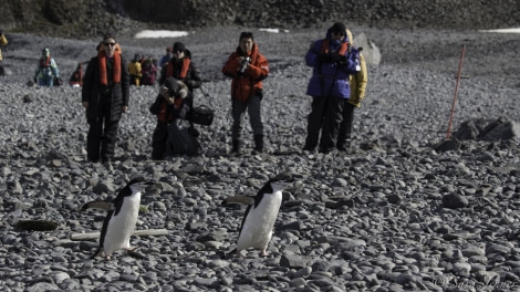 HDS26-19, DAY 03, Robert_Point2 - Oceanwide Expeditions.jpg