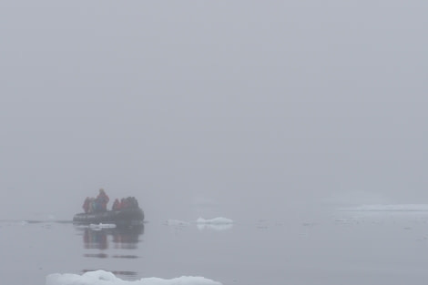 HDS26-19, DAY 04, ZodiacCruise_WeddellSea (2) - Oceanwide Expeditions.jpg