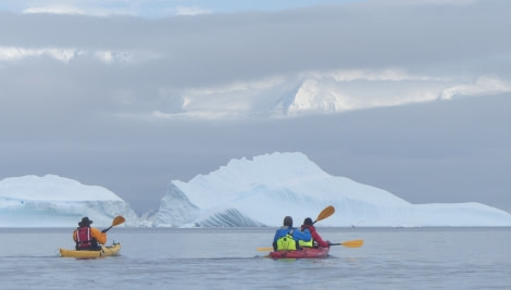 HDS26-19, DAY 06, KAYAK Neko - Oceanwide Expeditions.JPG