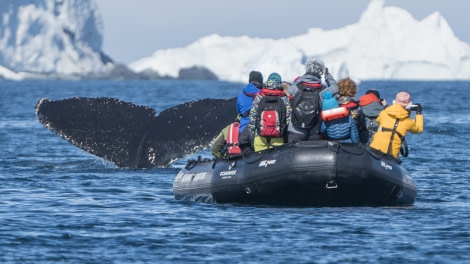 HDS26-19, DAY 07, OrneIslands-2528 - Oceanwide Expeditions.jpg