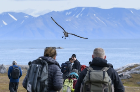 Arctic; excursion; people in action; birds; landing;.jpg