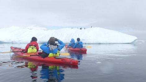 HDS26-19, KAYAK, NEKO, P1110916 - Oceanwide Expeditions.JPG