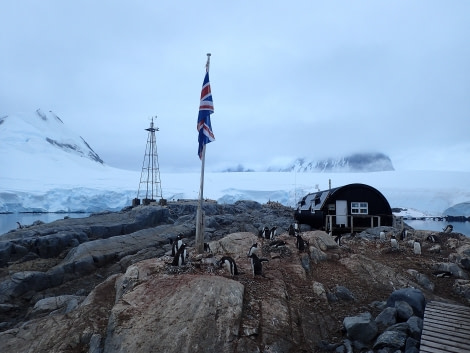 PLA27-20, DAY 05, 3-Port Lockroy HD (2) -Oceanwide Expeditions.JPG