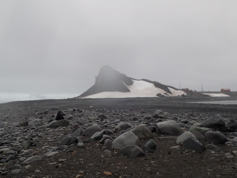 PLA29-20, Day 08, Whalers Bay, Half Moon Island, D8 helene (5) -Oceanwide Expeditions.JPG