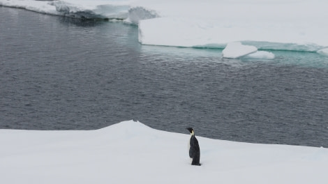 OTL27-20, 2020-01-25 (c) Christian Engelke P1250697 Amundsen Sea -Oceanwide Expeditions.JPG