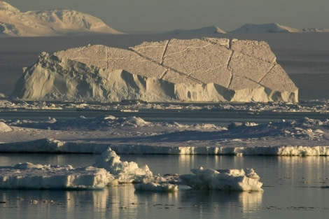 PLA29-20, Day 04, Paulet, Brown Bluff D4_RegisPerdriat  (5) -Oceanwide Expeditions.jpg