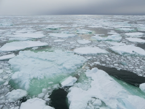 OTL27-20, Ross Sea ice floes, Victoria Salem -Oceanwide Expeditions.JPG