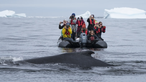 HDS27a-20, DAY 06 Peterman-4525 - Oceanwide Expeditions.jpg