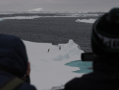 OTL27-20, 2020-01-26 (c) Christian Engelke P1261111 Bay of Whales -Oceanwide Expeditions.JPG